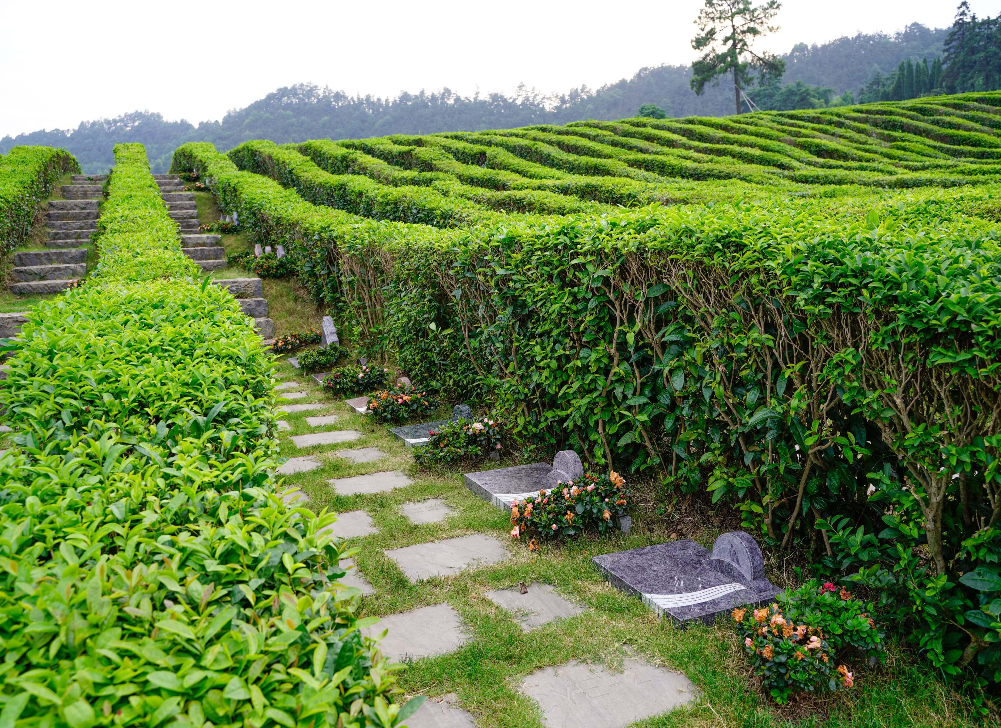 溪岸茶隐 一墓一景，一景一人生