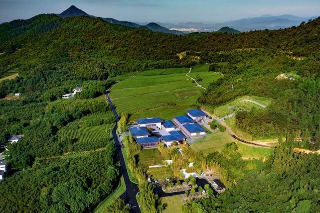 杭州墓地 杭州墓地