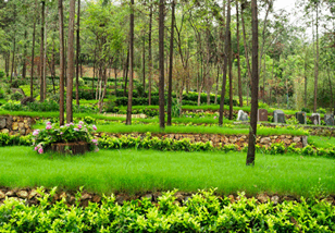 竹茶园墓地 竹茶园墓地