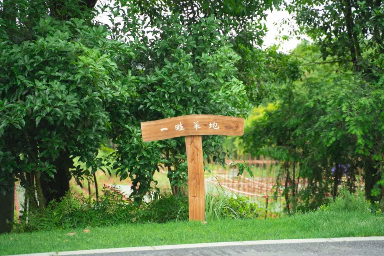 一畦菜地__圆你都市田园梦261.png